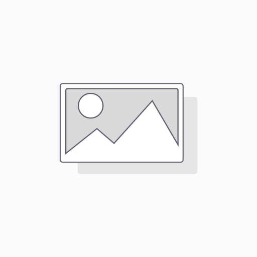 Business AI & Automation Consultation